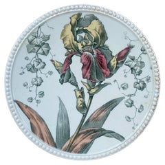 English Transferware Iris Plate Cauldon Circa 1904