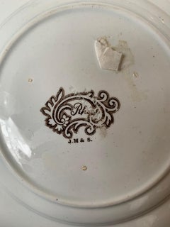 English Transferware Plate in Rhine Pattern Ironstone China Marked J.M. & S