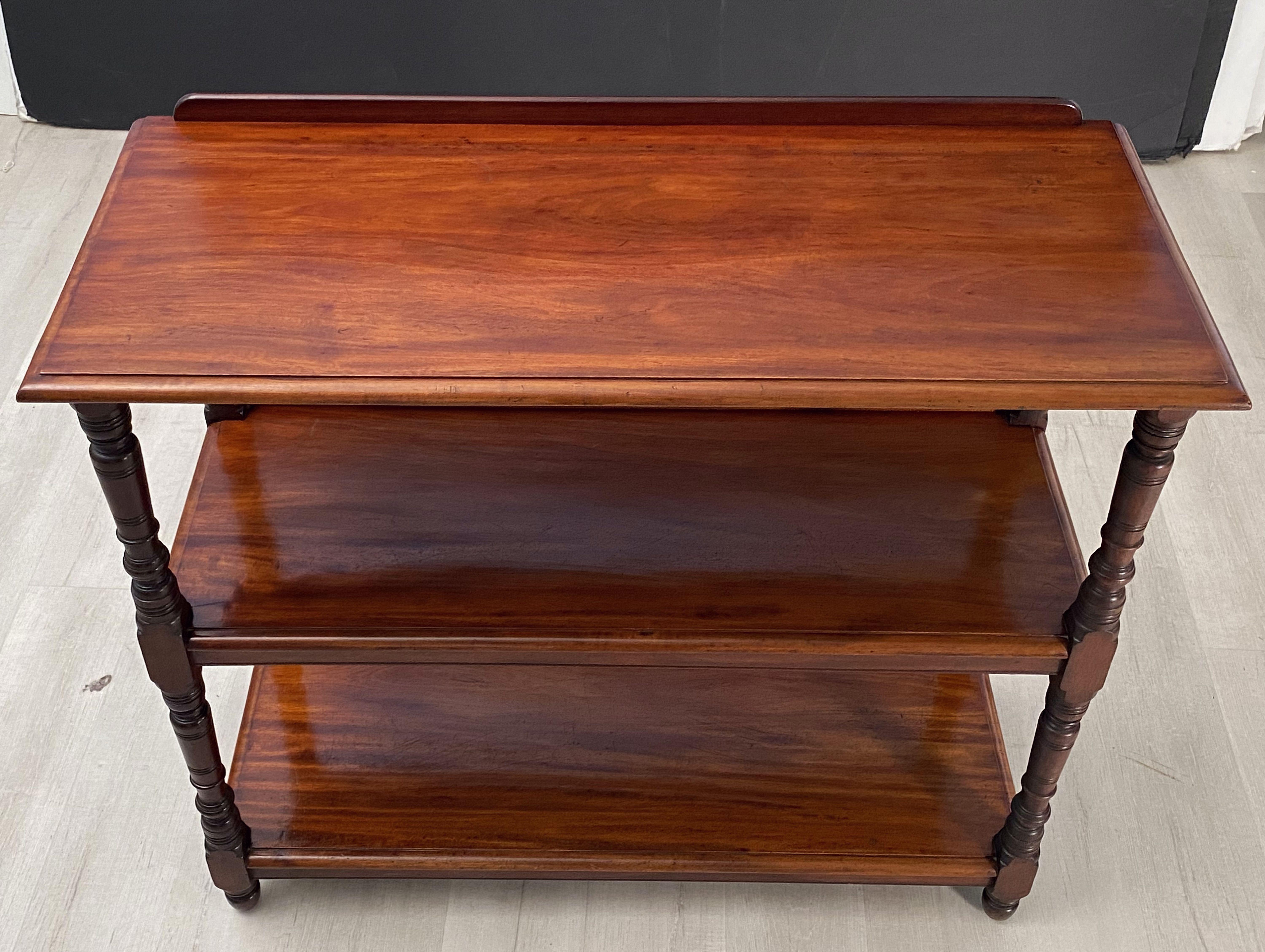 English Trolley or Console Server of Mahogany 1