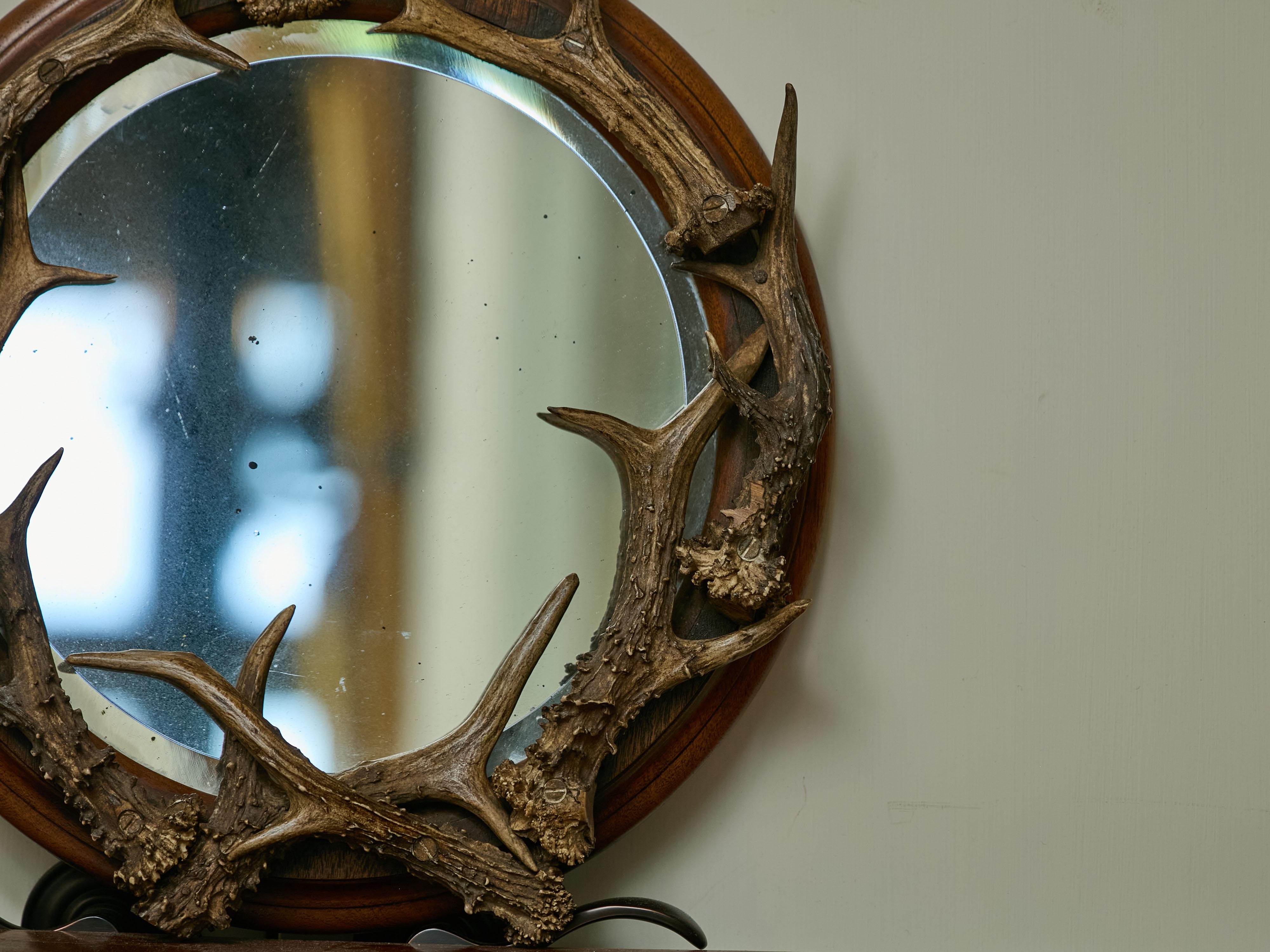 Miroir circulaire en bois de cerf sur cadre en bois, The Turn of the Century, circa 1900 Bon état - En vente à Atlanta, GA
