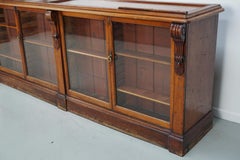 English Victorian 19th Century Apothecary Shop Counter / Vitrine