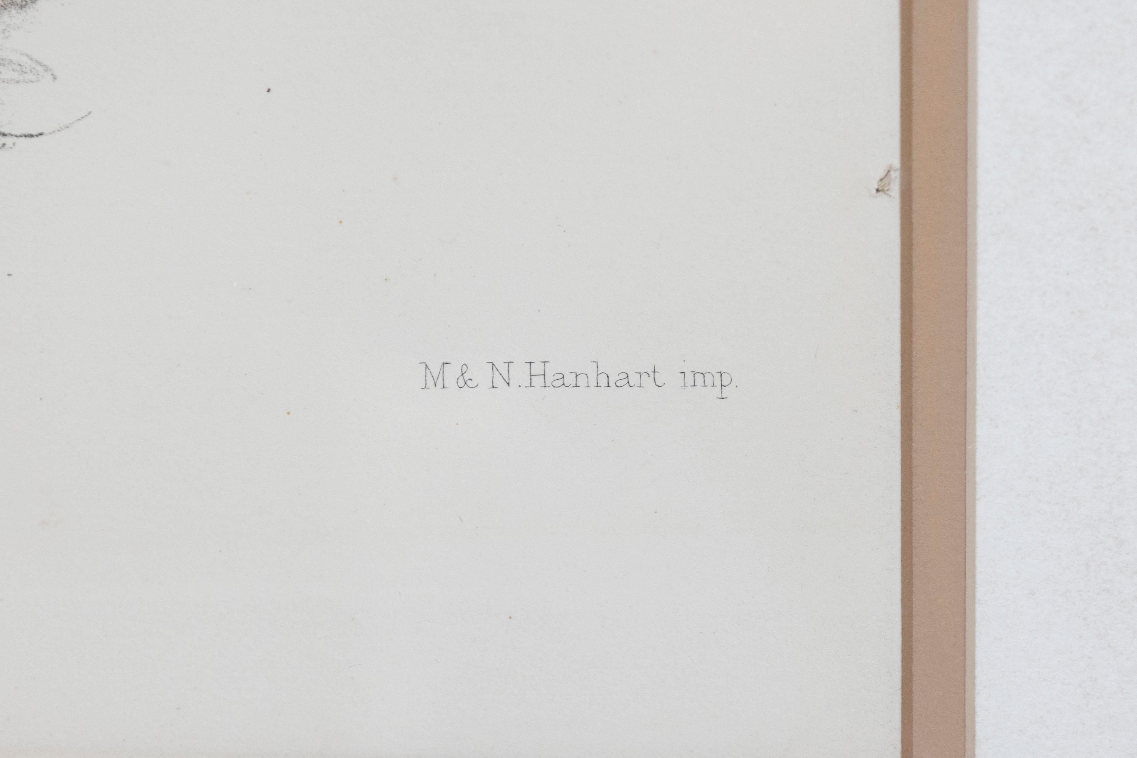 Englische viktorianische handkolorierte gerahmte, gerahmte Lithographie einer Felis Pardina aus dem 19. Jahrhundert im Angebot 2