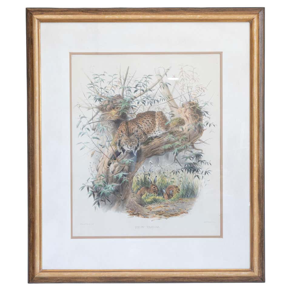 Lithograph Elizabeth Reed 19th Century English Color Lithograph 'Eminent Men' Gilt Wood Frame For ...