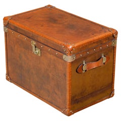 English Victorian 19th Century Leather Travel Trunk with Brass Hardware