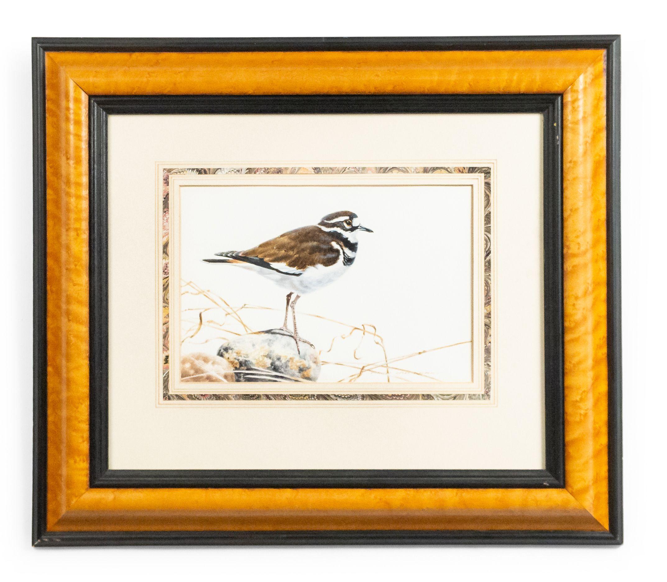 Aquarelle victorienne anglaise encadrée en érable et ébonite représentant un oiseau sur une branche. (Pièces d'accompagnement : 053214C-I)

Condit : Bon ; Usures dues à l'âge et à l'utilisation