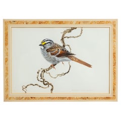 Acuarela inglesa victoriana de pájaros