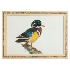 Acuarela inglesa victoriana de pájaros