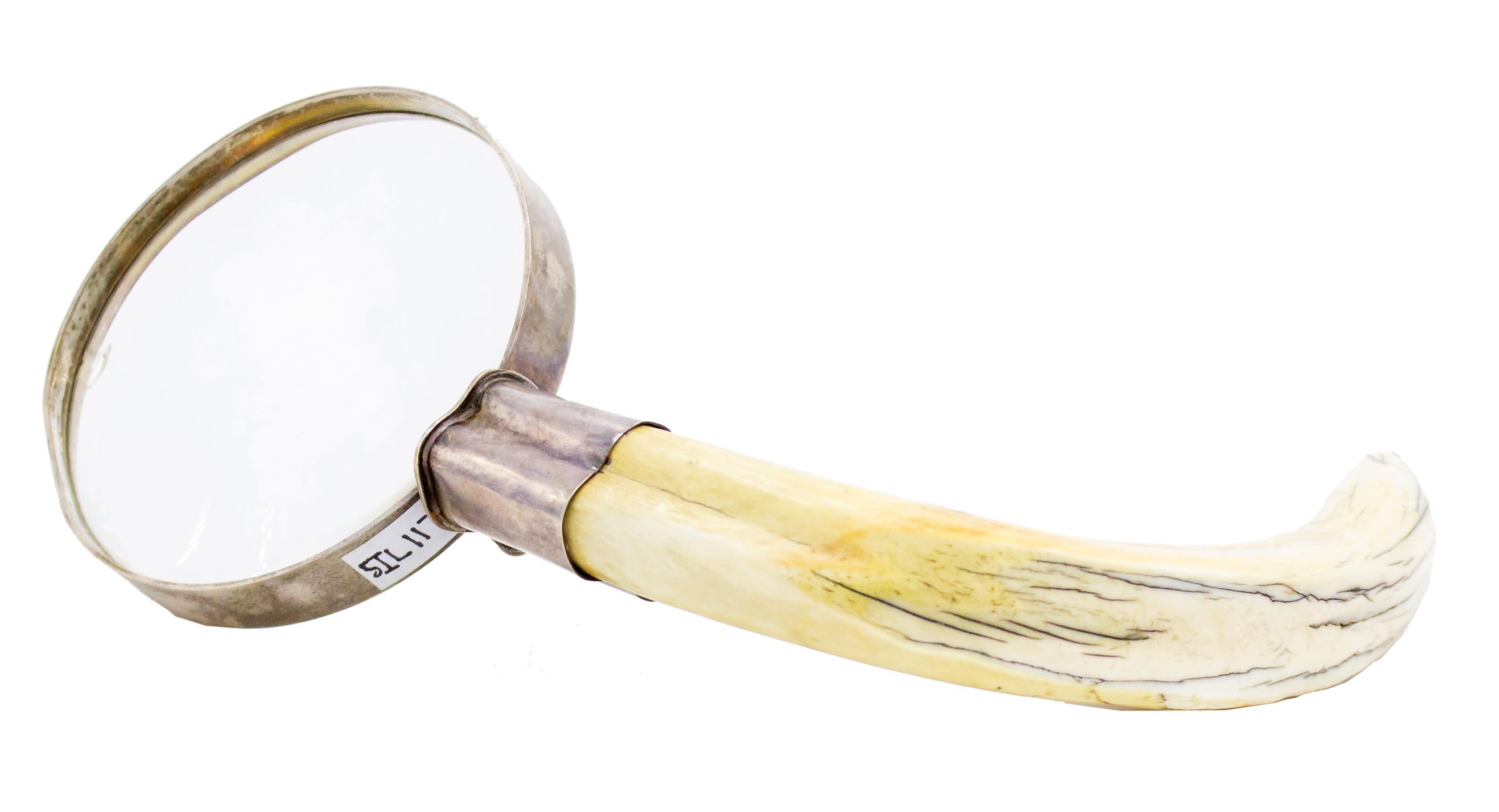English Victorian silver-plate magnifying glass with a boar's tooth handle (silver marking/chip to glass)