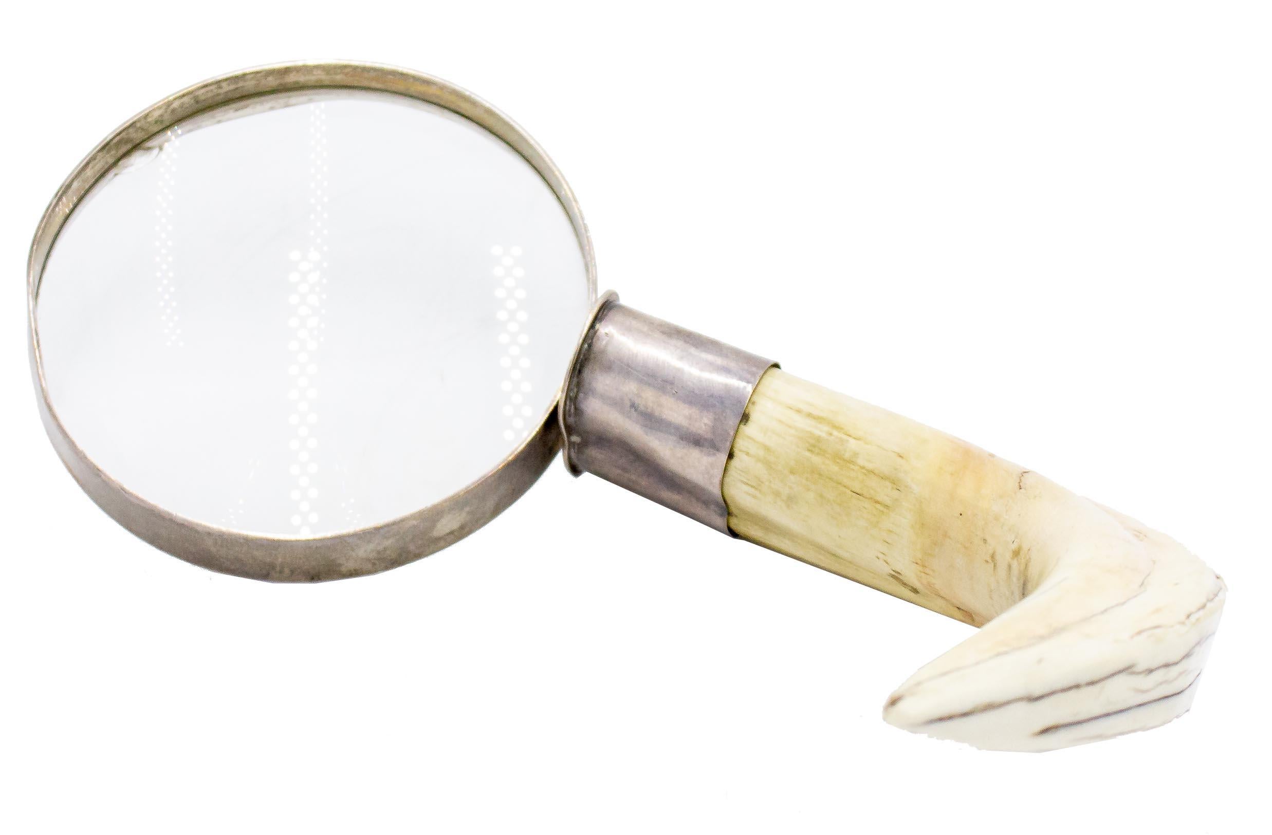 English Victorian Boar's Tooth Magnifying Glass In Good Condition For Sale In Queens, NY