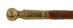 English Victorian  Brass and Burl Wood Cane