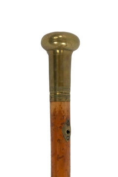 English Victorian Brass and Wood Cane