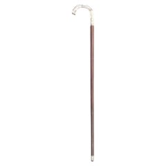 English Victorian Can with Silver Medallion Handle