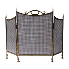English Victorian Fireplace Screen or Fire Screen