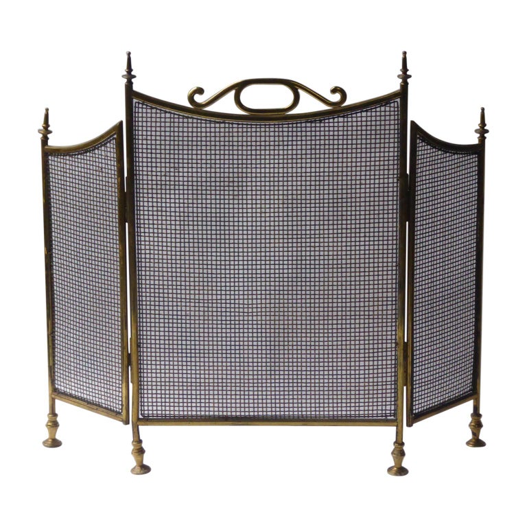 English Victorian Fireplace Screen or Fire Screen at 1stdibs
