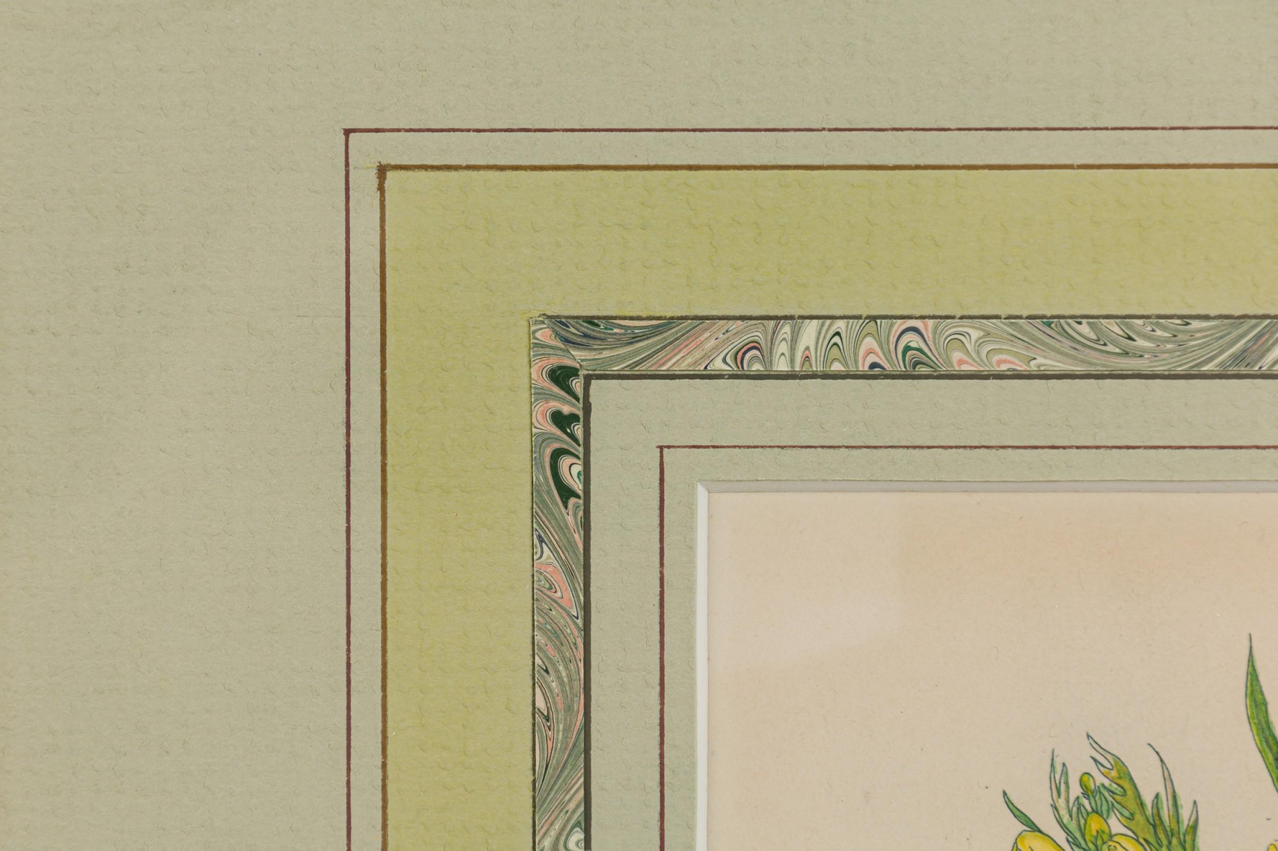 Englische viktorianische gerahmte botanische Illustration von Kammhirse (Gold) im Angebot