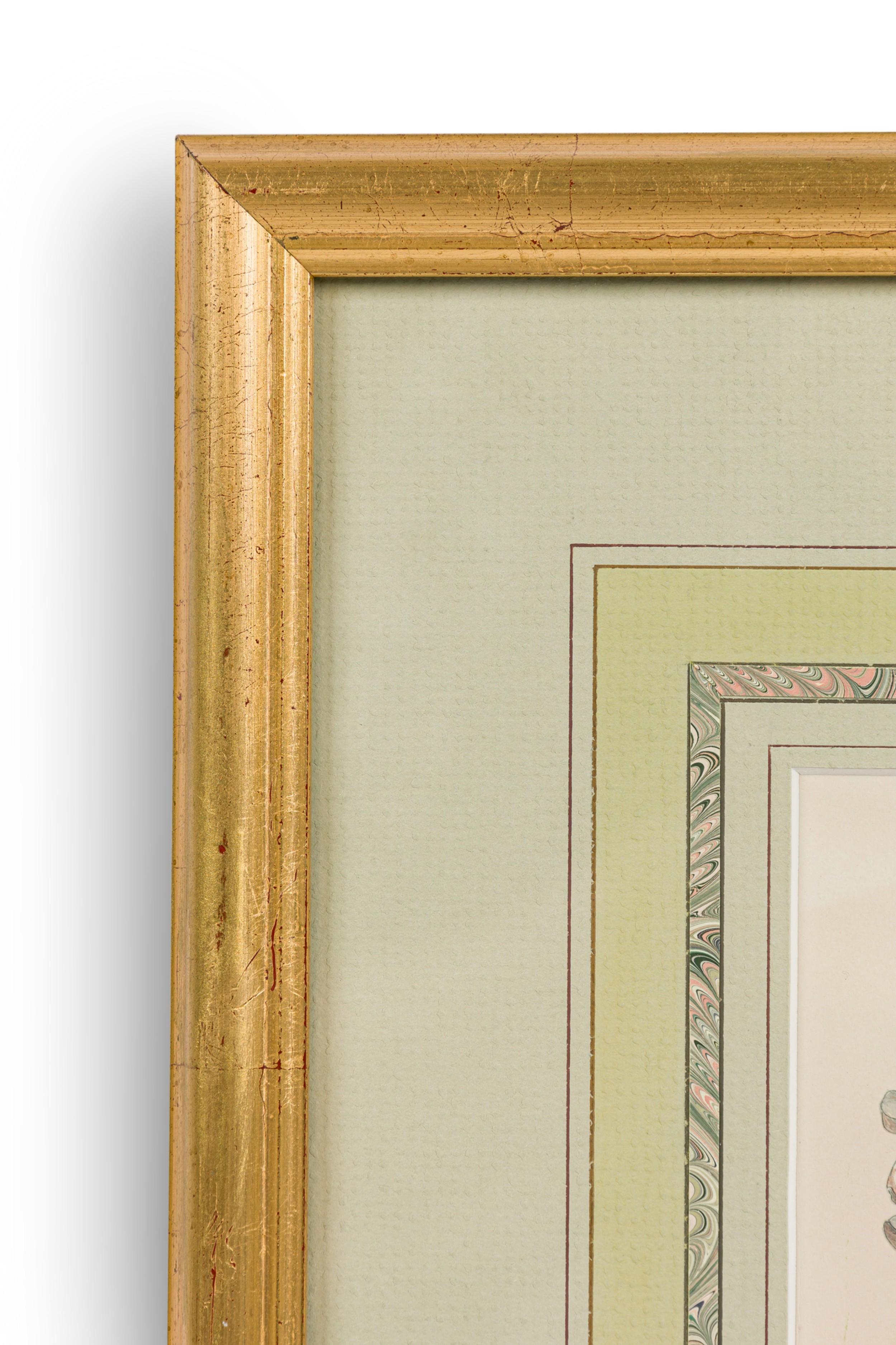 Englische viktorianische gerahmte botanische Illustration des Grünflügligen Wiesen-Knabenkrauts (Viktorianisch) im Angebot