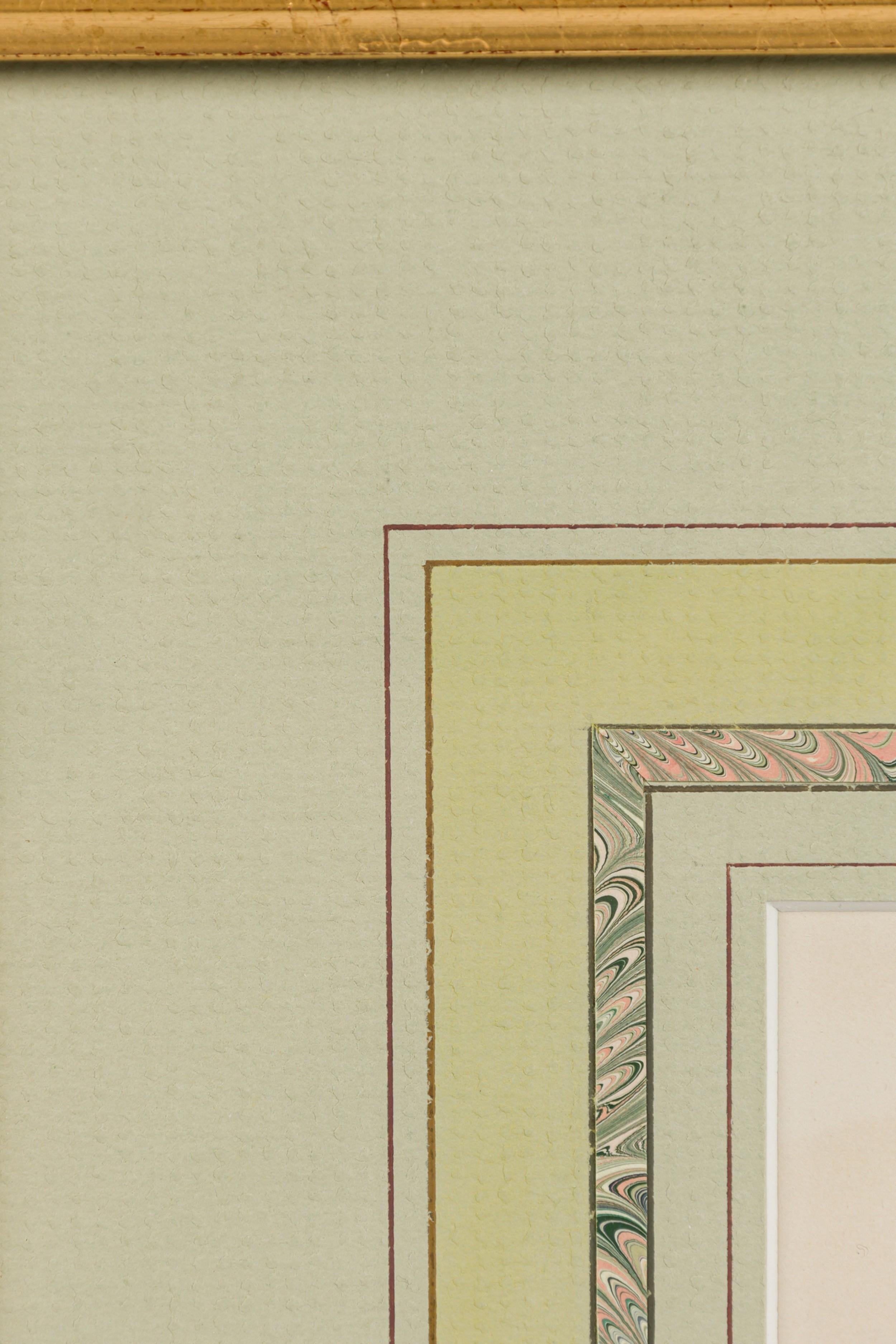 Englische viktorianische gerahmte botanische Illustration des Grünflügligen Wiesen-Knabenkrauts (19. Jahrhundert) im Angebot