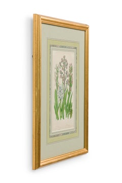 English Victorian Framed Botanical Illustration of Orchis Miltaris