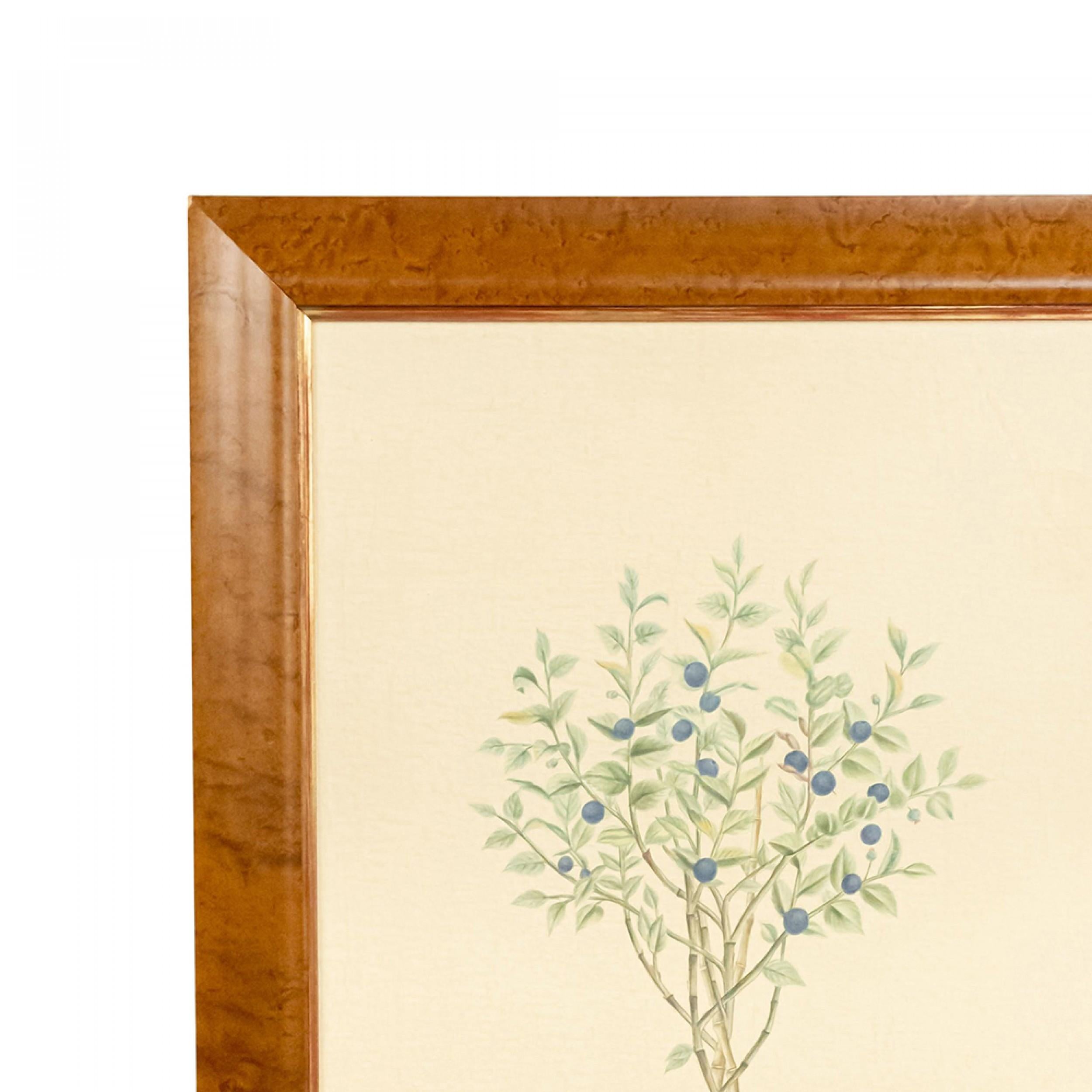 British English Victorian Fruit Tree Painting