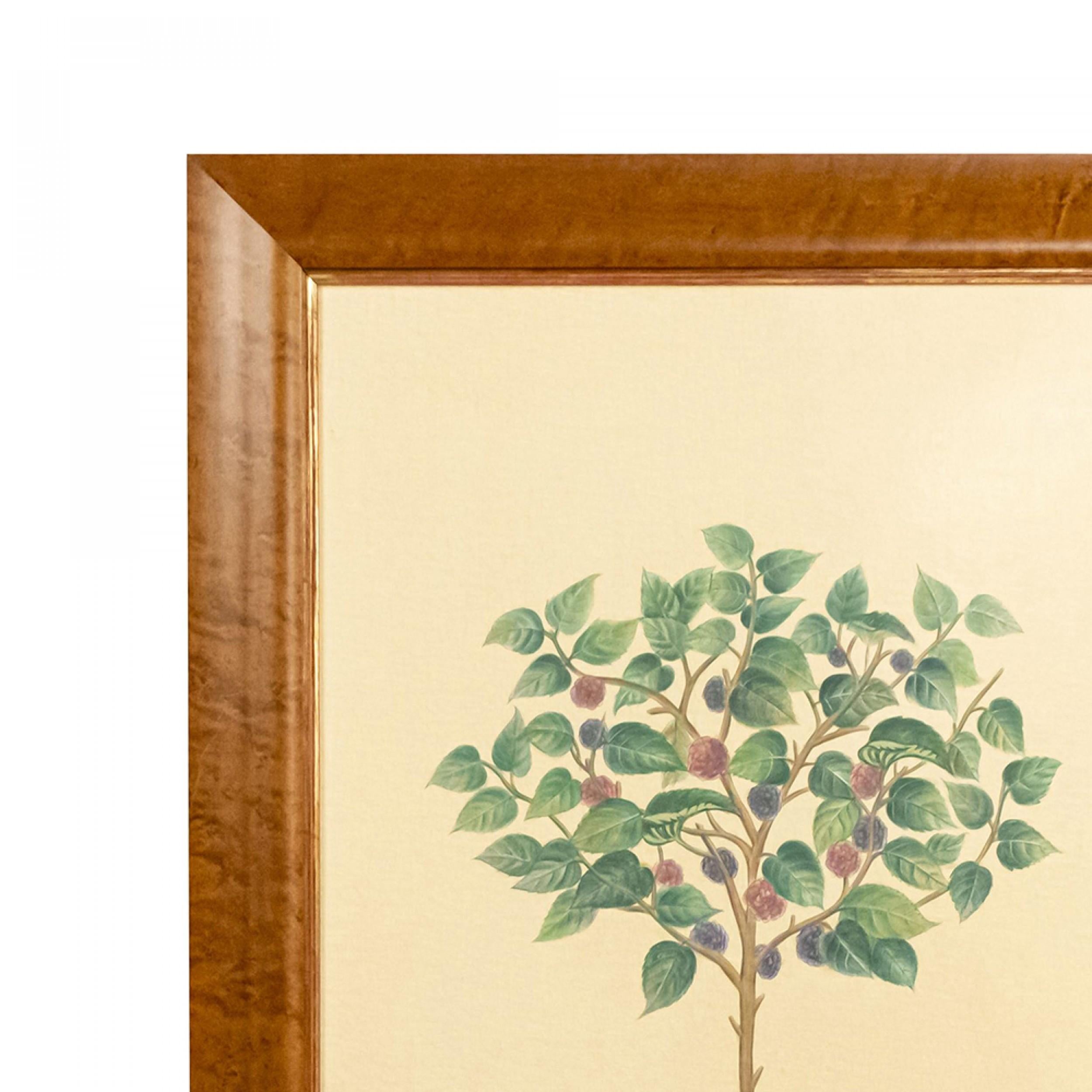 Englisches viktorianisches Obstbaum-Gemälde (Viktorianisch) im Angebot