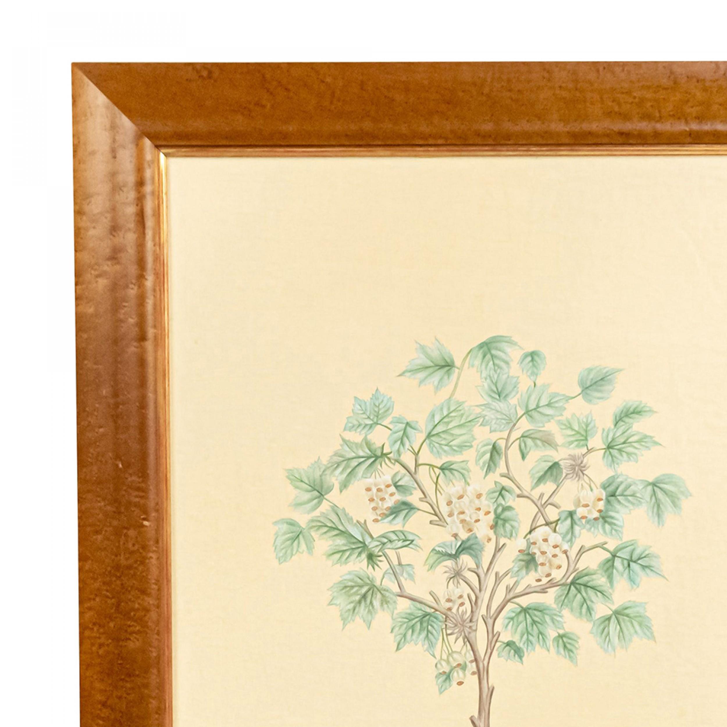 English Victorian Fruit Tree Painting In Good Condition For Sale In Queens, NY
