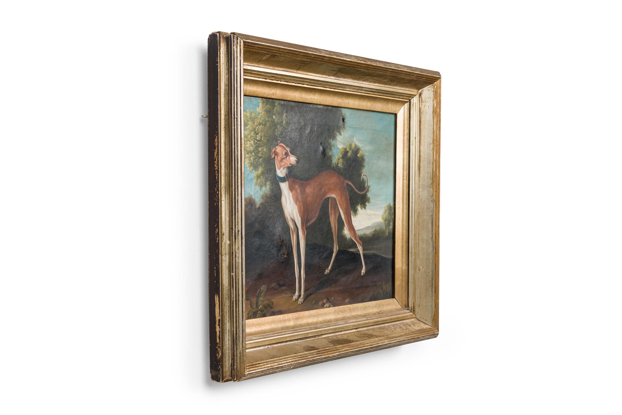 English Victorian style gilt framed oil painting of brown and white greyhound dog.