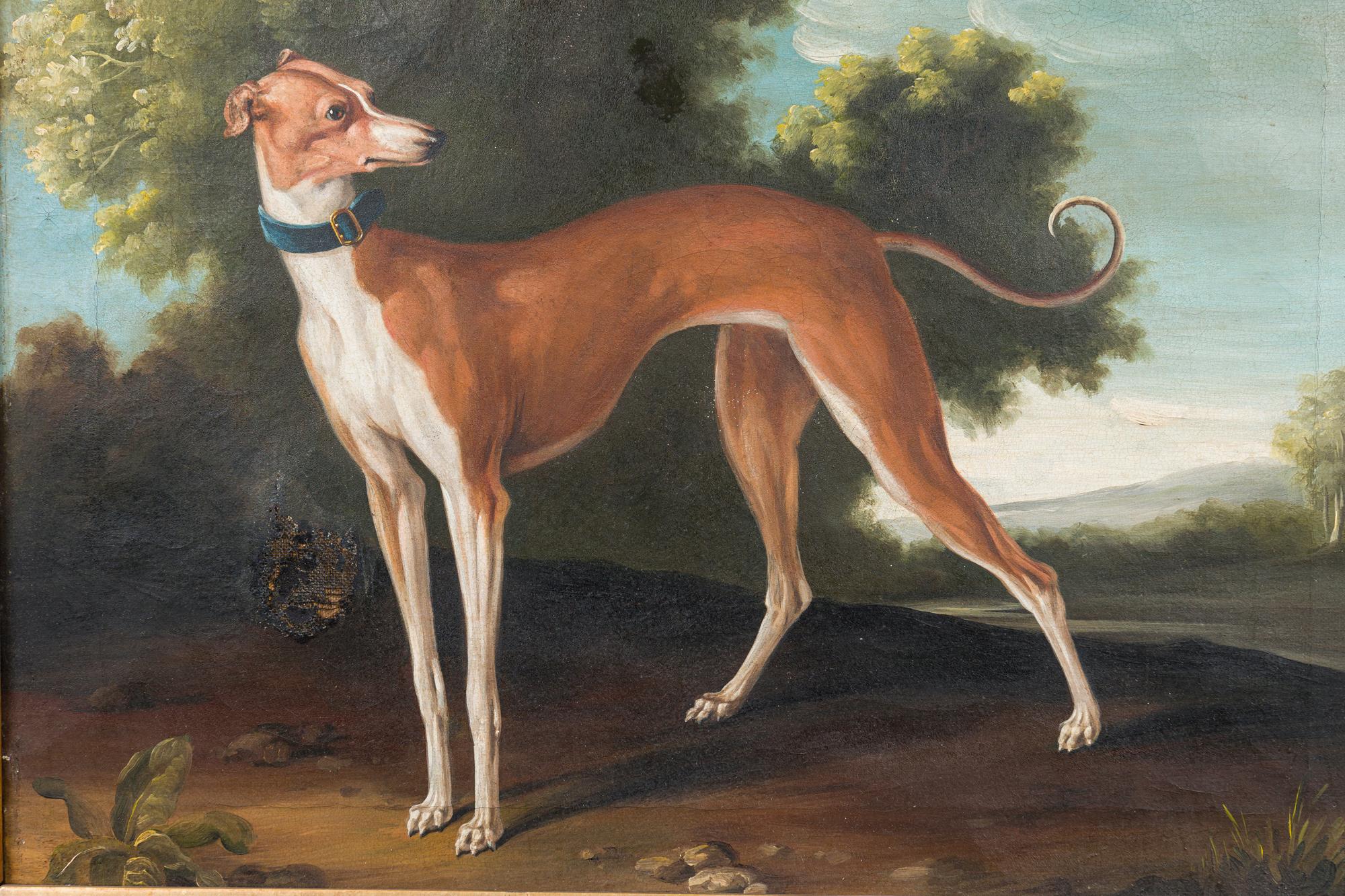 British Colonial English Victorian Greyhound Dog Painting For Sale