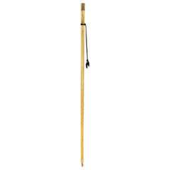 Canna inglese vittoriana in legno chiaro