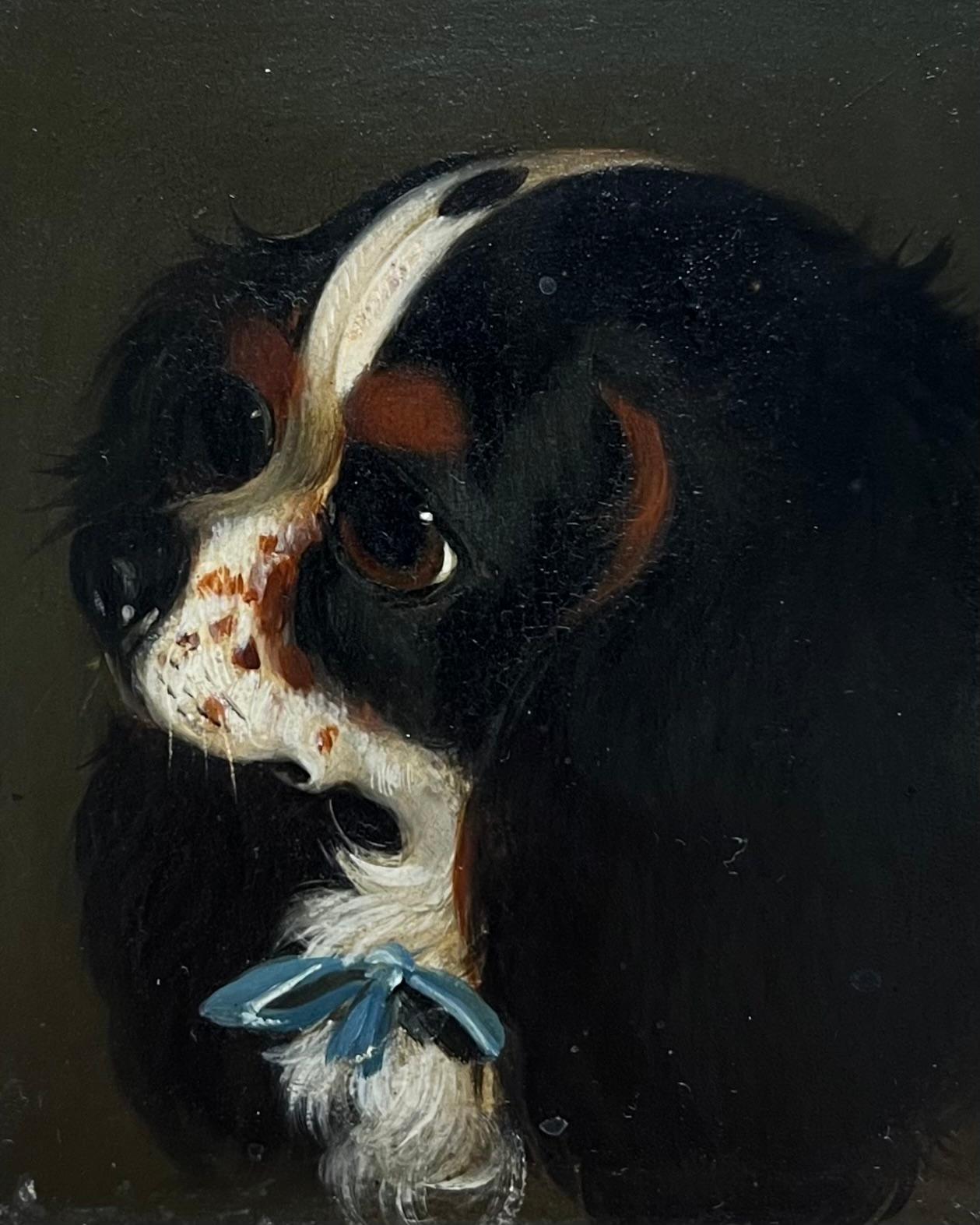 Head Portrait King Charles Cavalier Spaniel Dog with Blue Bow 19th Century Oil - Victorian Painting by English Victorian Oil 