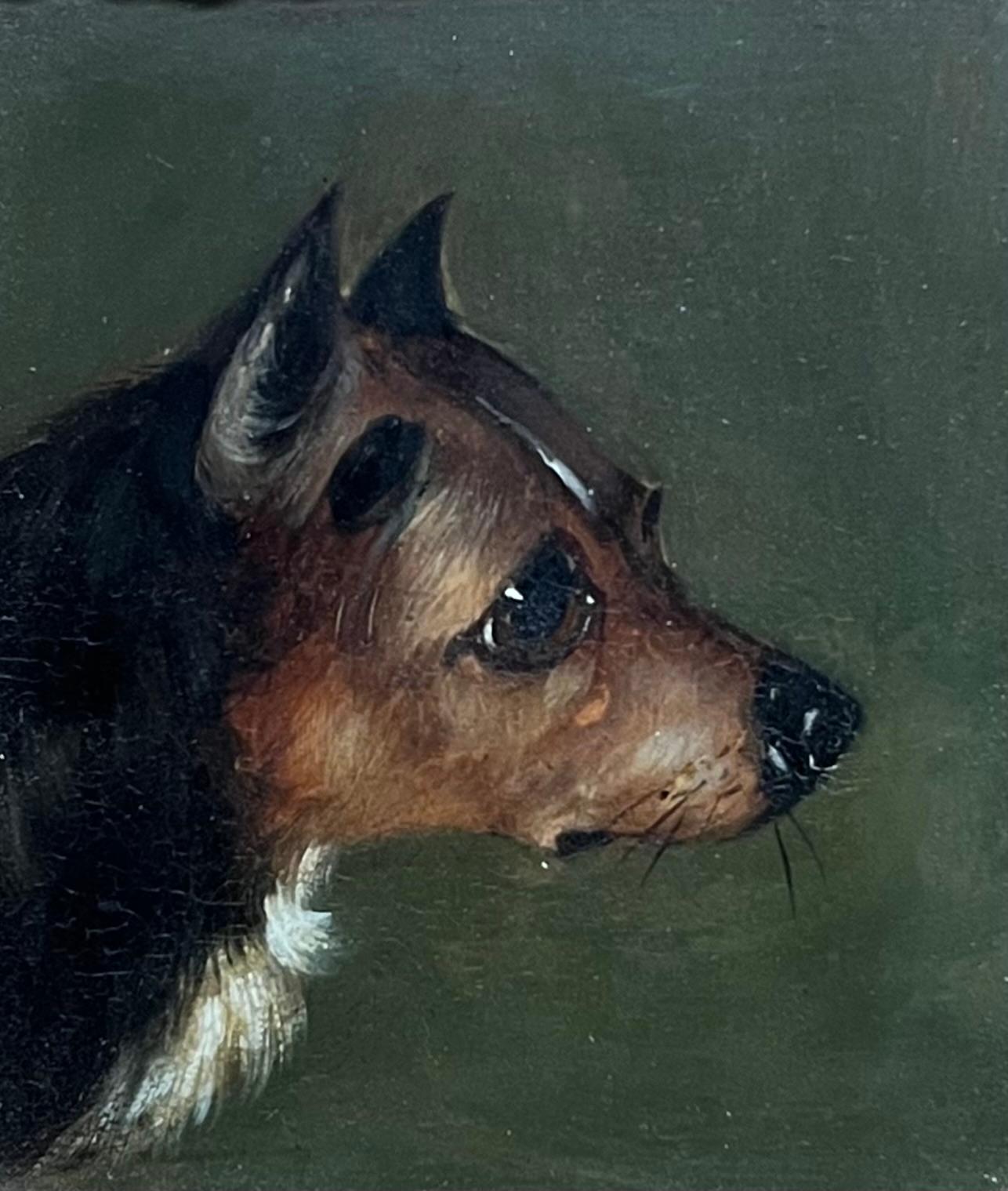 Ritratto di testa di cane terrier della metà del XIX secolo, dipinto a olio incorniciato - Painting di English Victorian Oil 