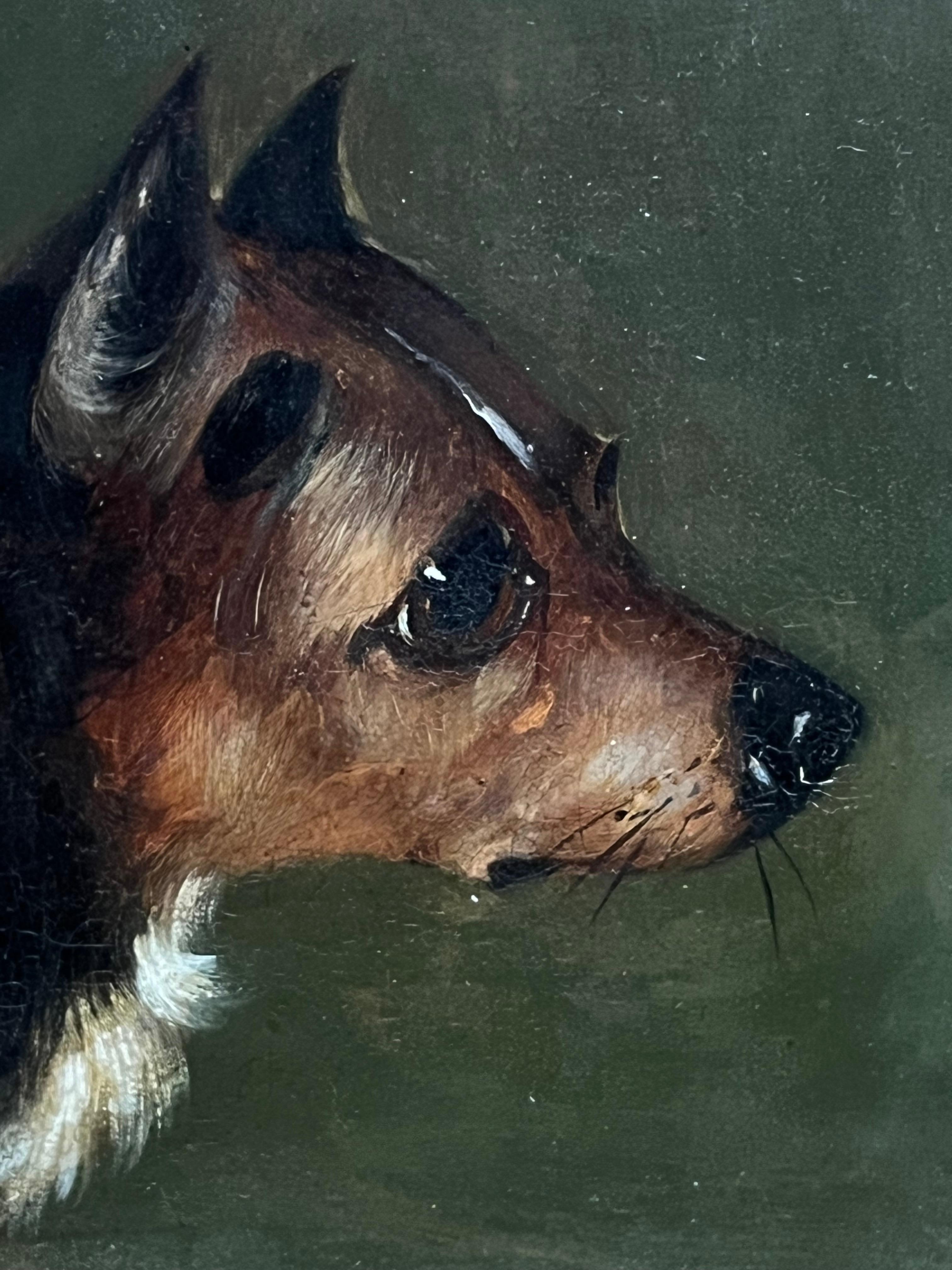 Ritratto di testa di cane terrier della met�à del XIX secolo, dipinto a olio incorniciato - Animal Painting Marrone di English Victorian Oil 