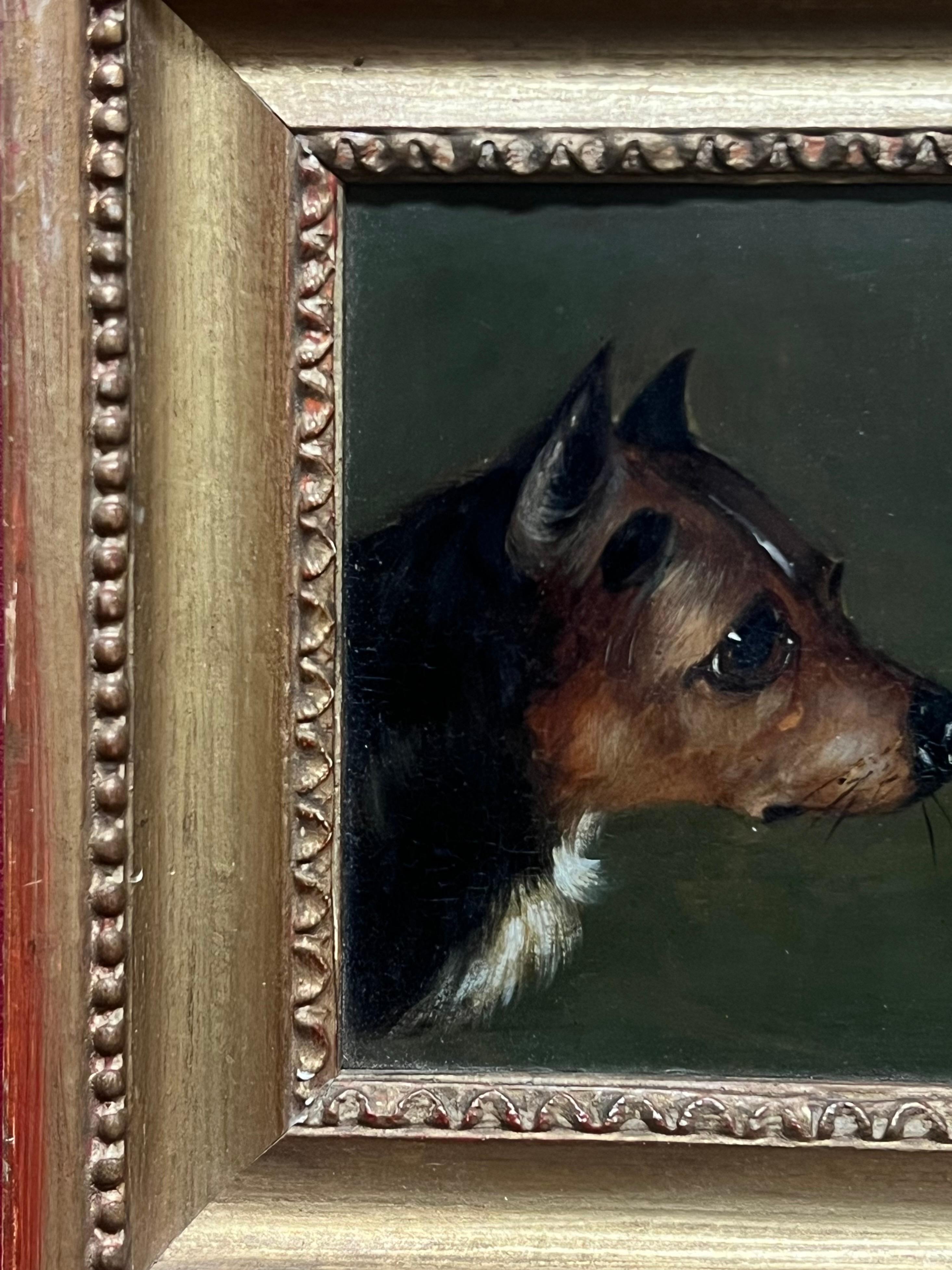 Il cane Terrier
English School, 19° secolo
olio su tavola, incorniciato
Incorniciato: 7,25 x 6,25 pollici
Pannello: 5 x 4,25 pollici
Provenienza: collezione privata, Suffolk, Inghilterra
Condizioni: ottime condizioni 

Per ulteriori informazioni,