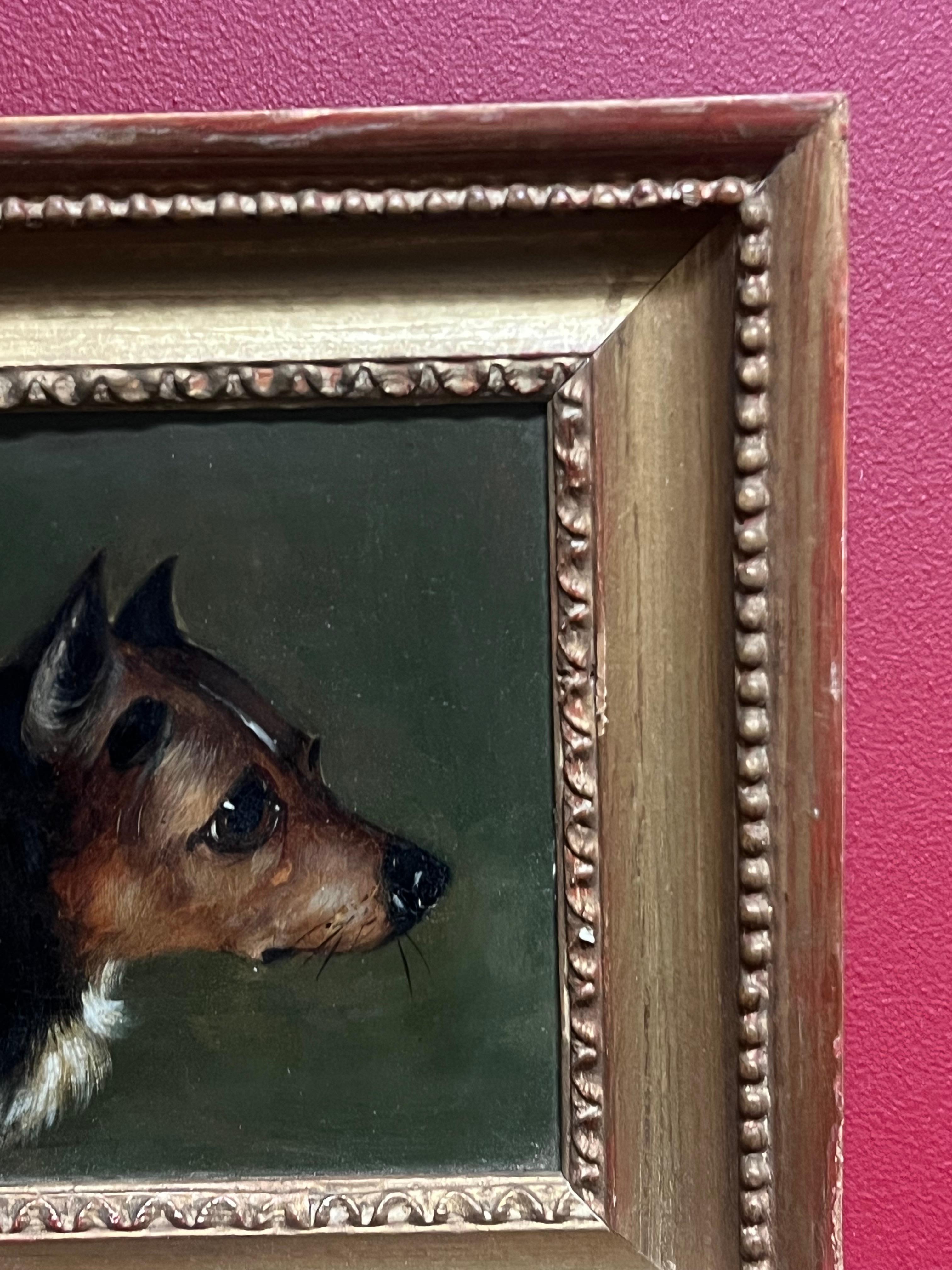 Ritratto di testa di cane terrier della metà del XIX secolo, dipinto a olio incorniciato 1
