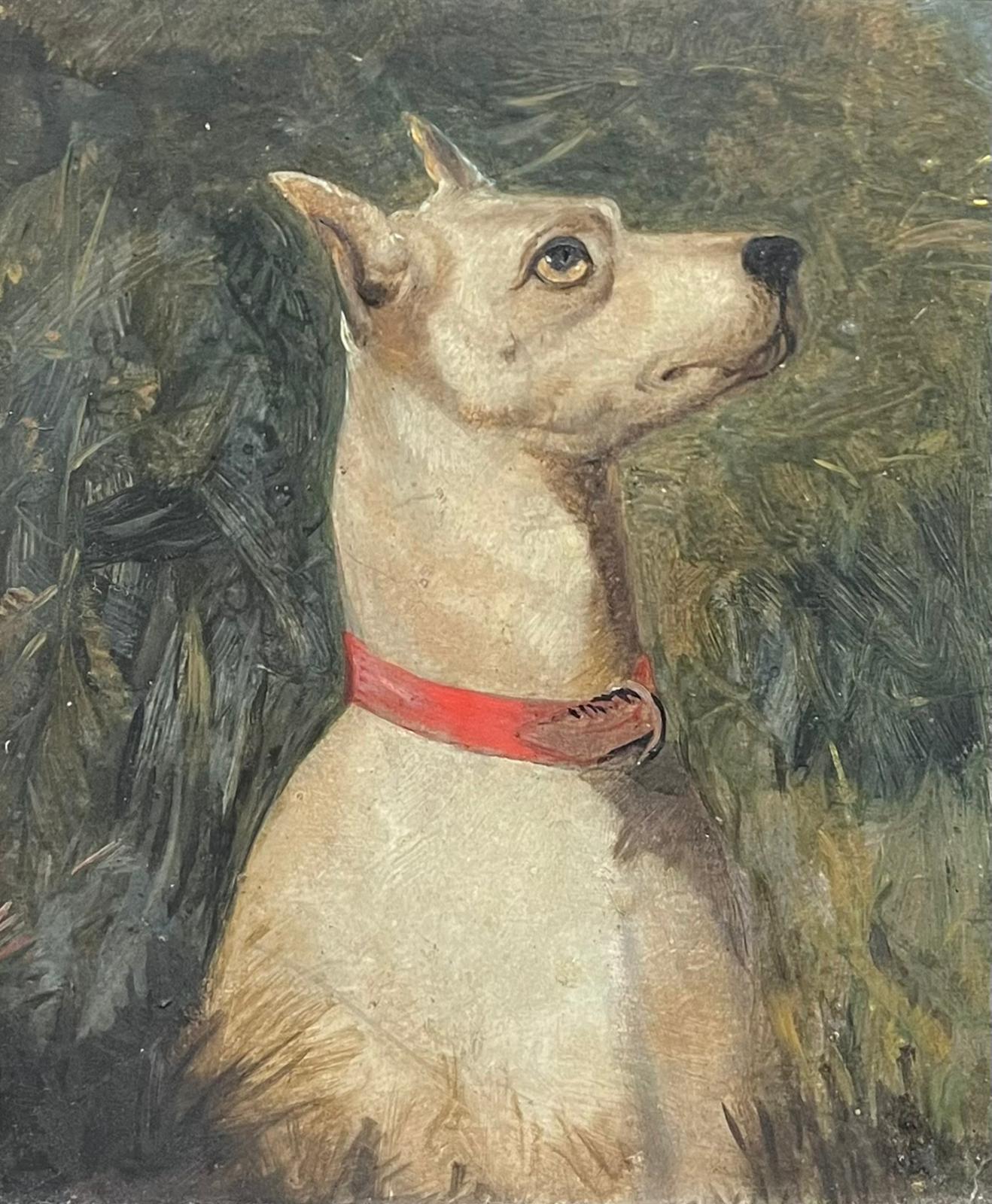 Victorian English Dog Painting White Terrier Looking Alert with Red Collar - Gray Animal Painting by English Victorian Oil 