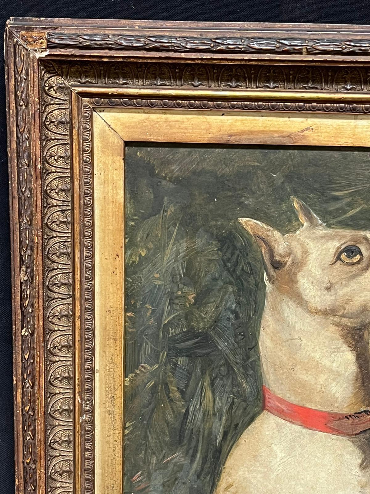 Victorian English Dog Painting White Terrier Looking Alert with Red Collar For Sale 1