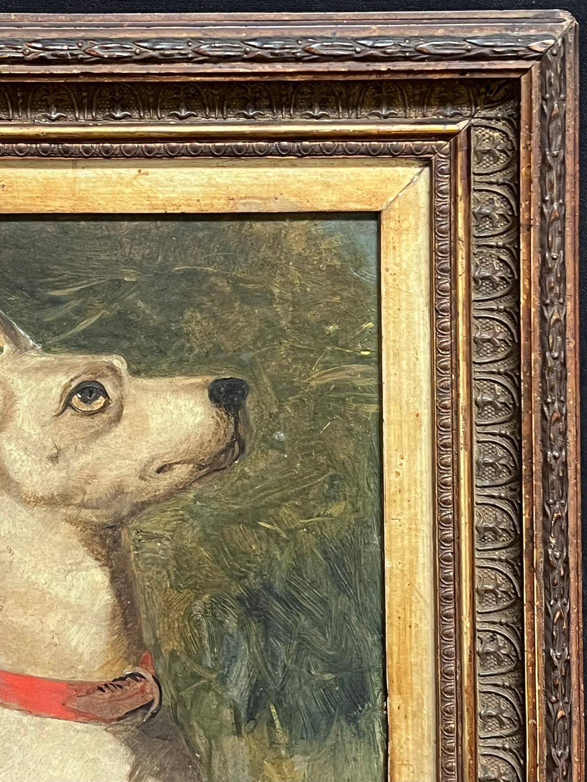 Victorian English Dog Painting White Terrier Looking Alert with Red Collar For Sale 2