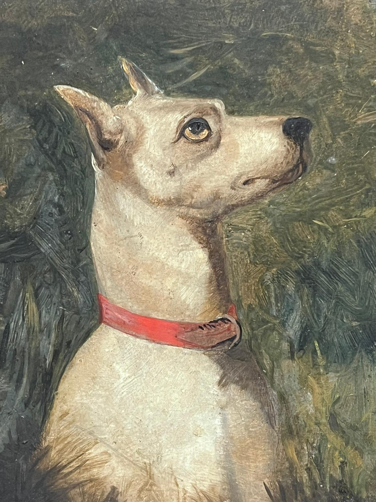 Victorian English Dog Painting White Terrier Looking Alert with Red Collar For Sale 3