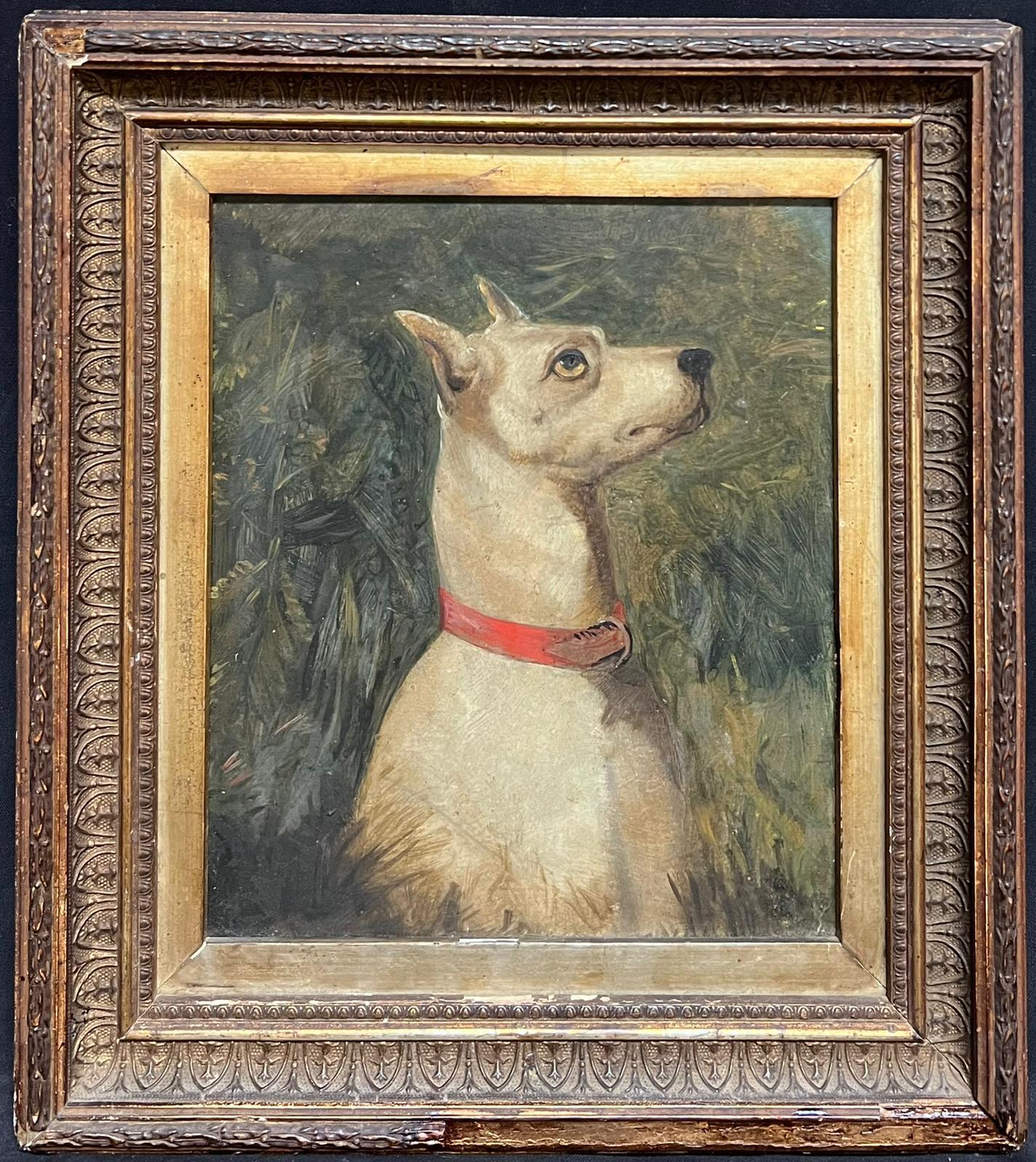 Victorian English Dog Painting White Terrier Looking Alert with Red Collar