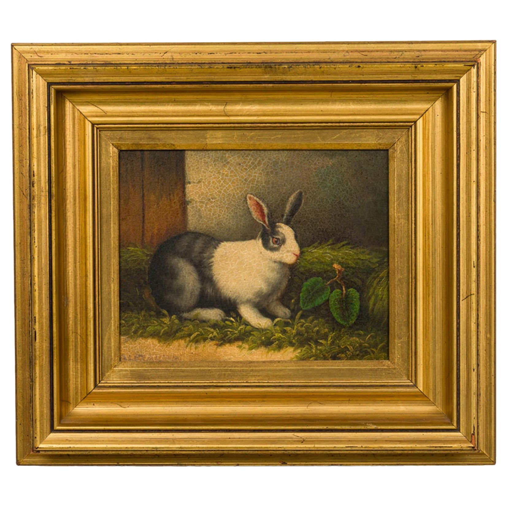 English Victorian Painting of A Grey and White Rabbit For Sale