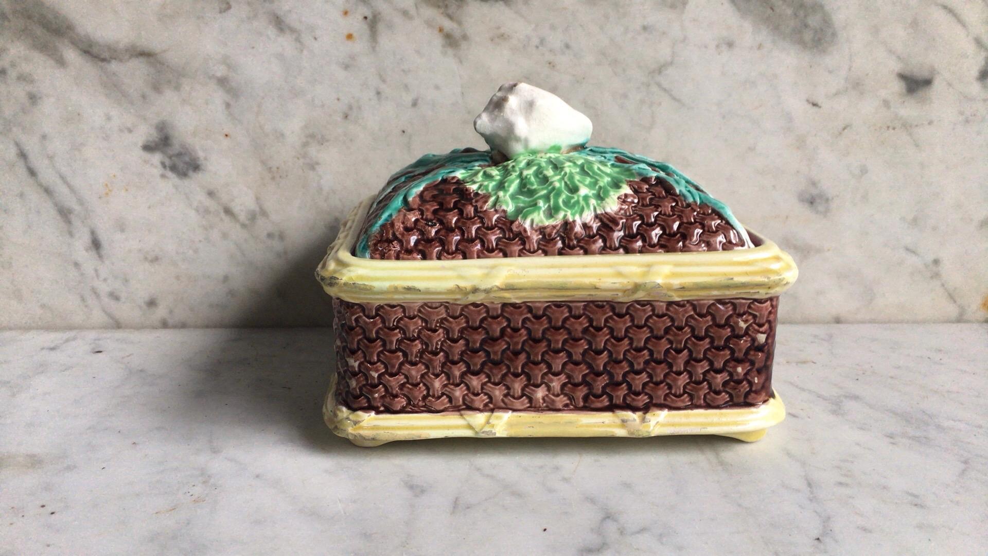 English Victorian sardine box with shell, circa 1890.