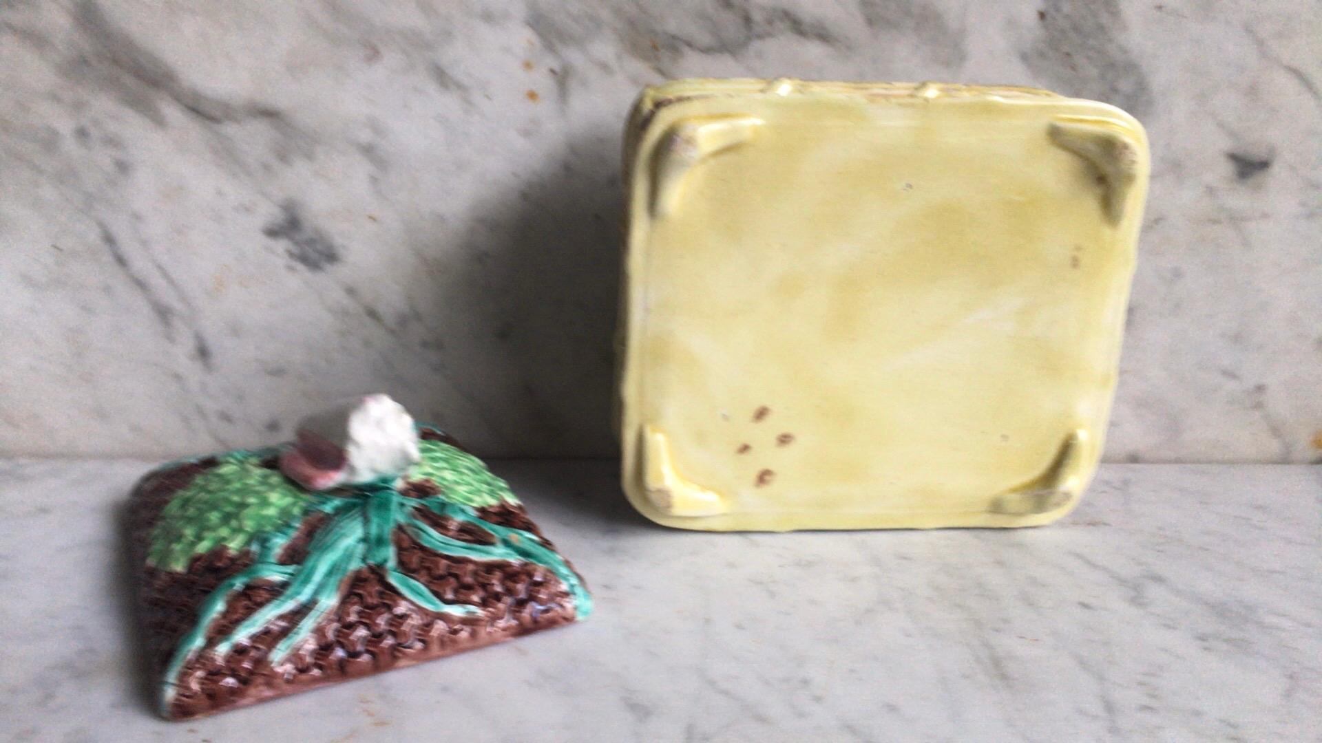 English Victorian Sardine Box with Shell, circa 1890 In Good Condition For Sale In Austin, TX