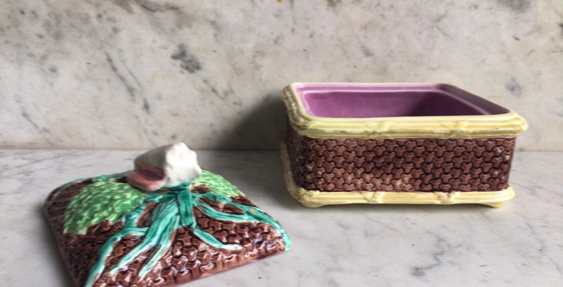 Late 19th Century English Victorian Sardine Box with Shell, circa 1890 For Sale