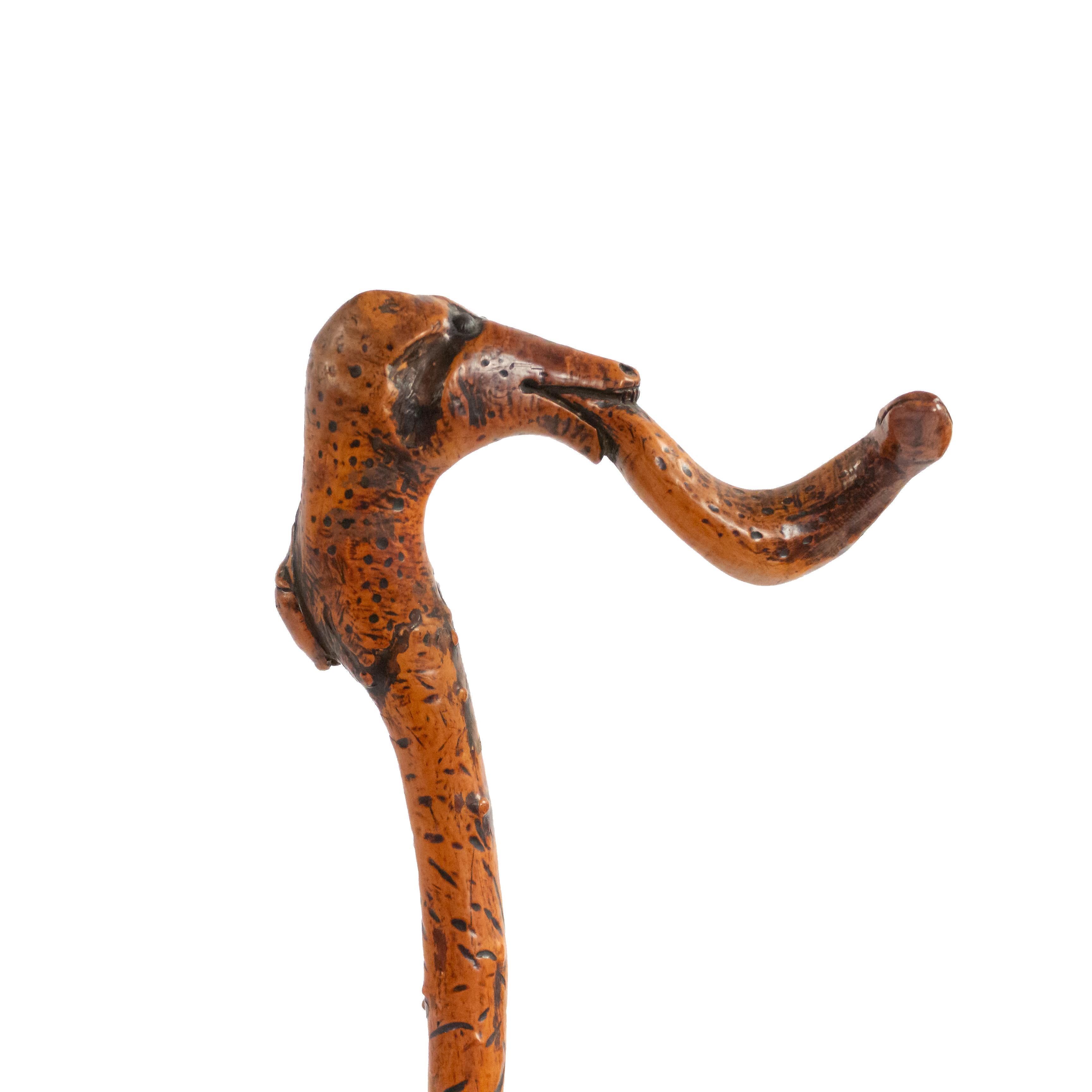 Canne de caractère anglais victorien sculptée de serpent et de poignée de serpent.
 