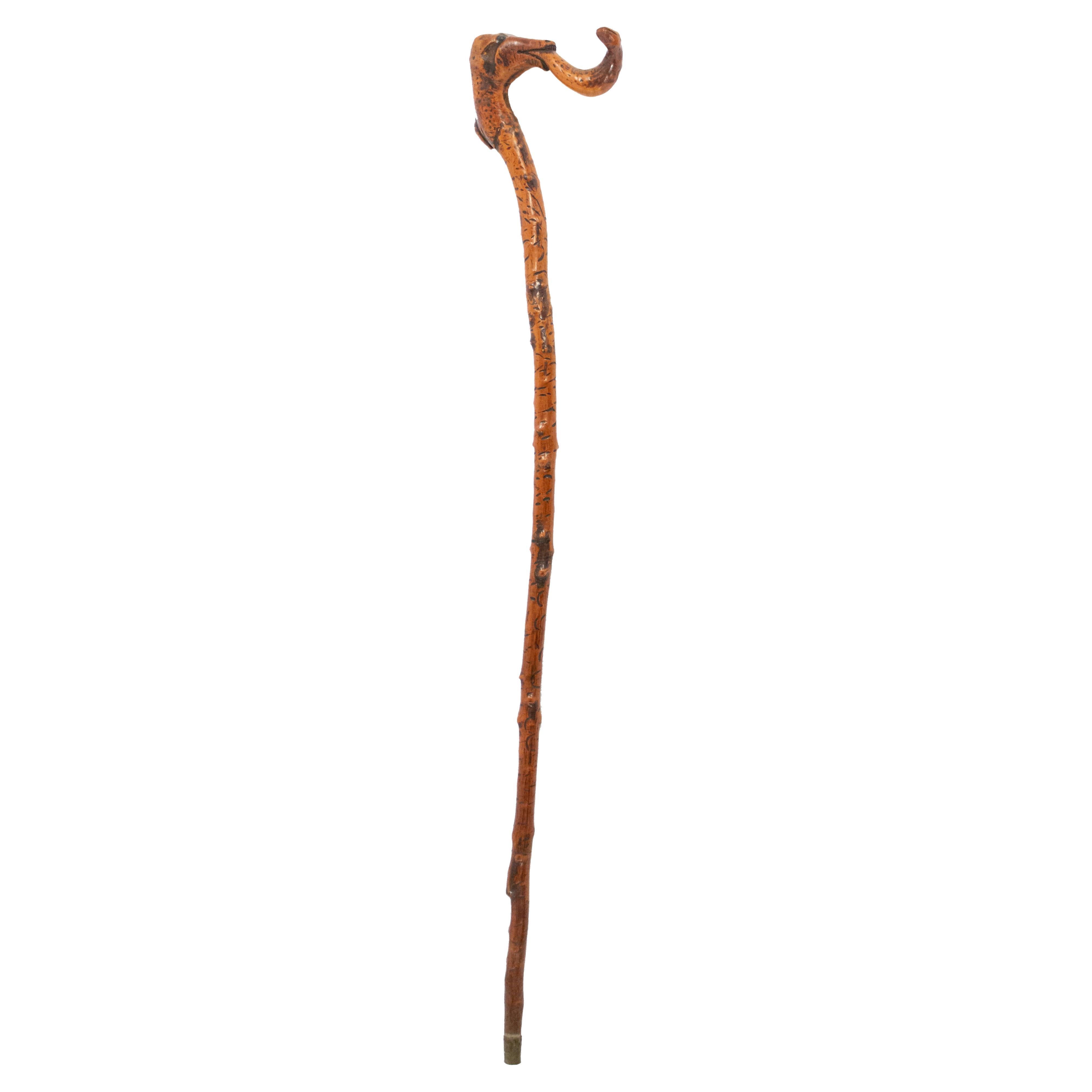 English Victorian Serpent Cane For Sale
