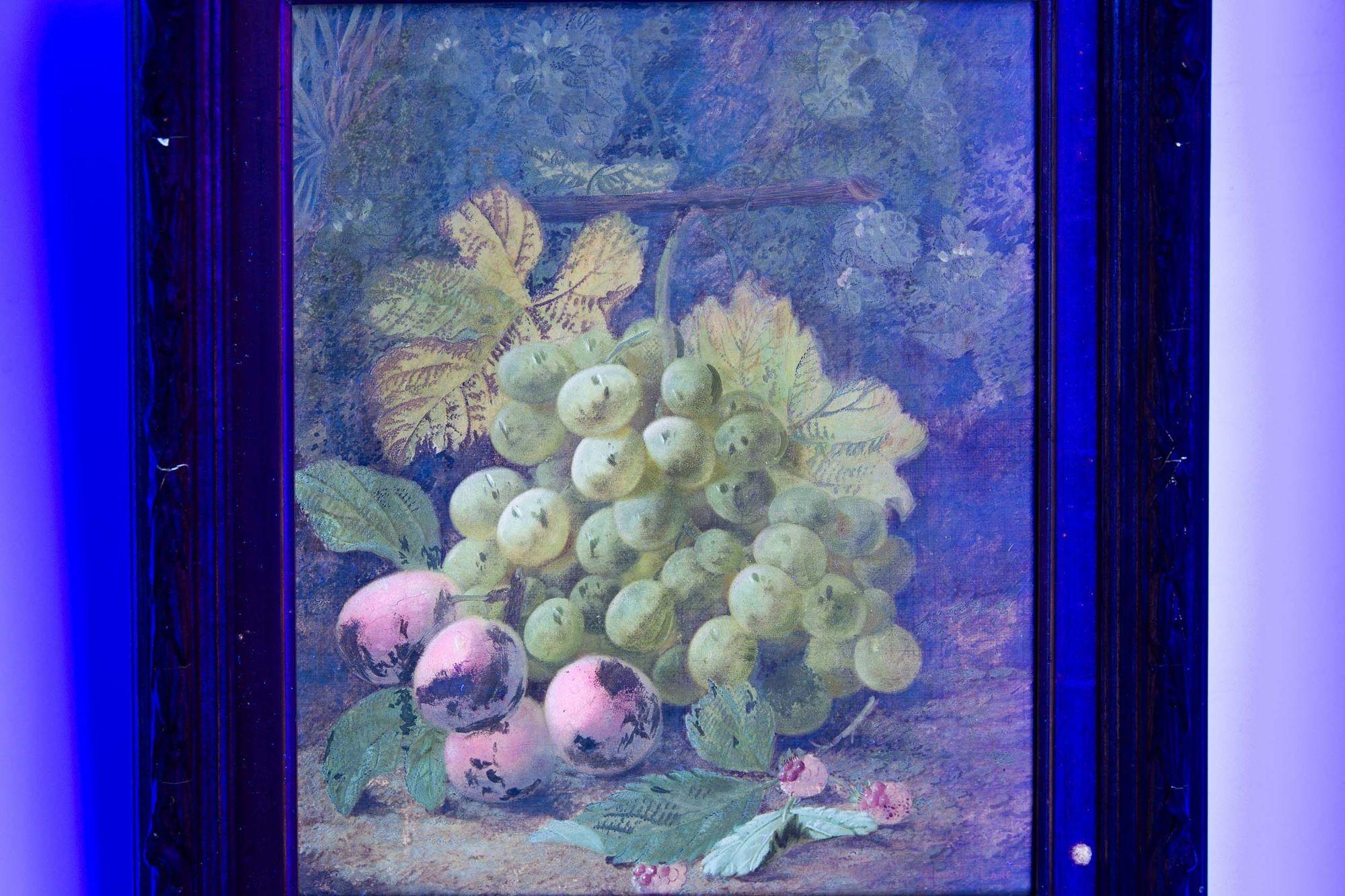 English Victorian Still-Life Oil Painting of Grapes & Plums by Oliver Clare 8