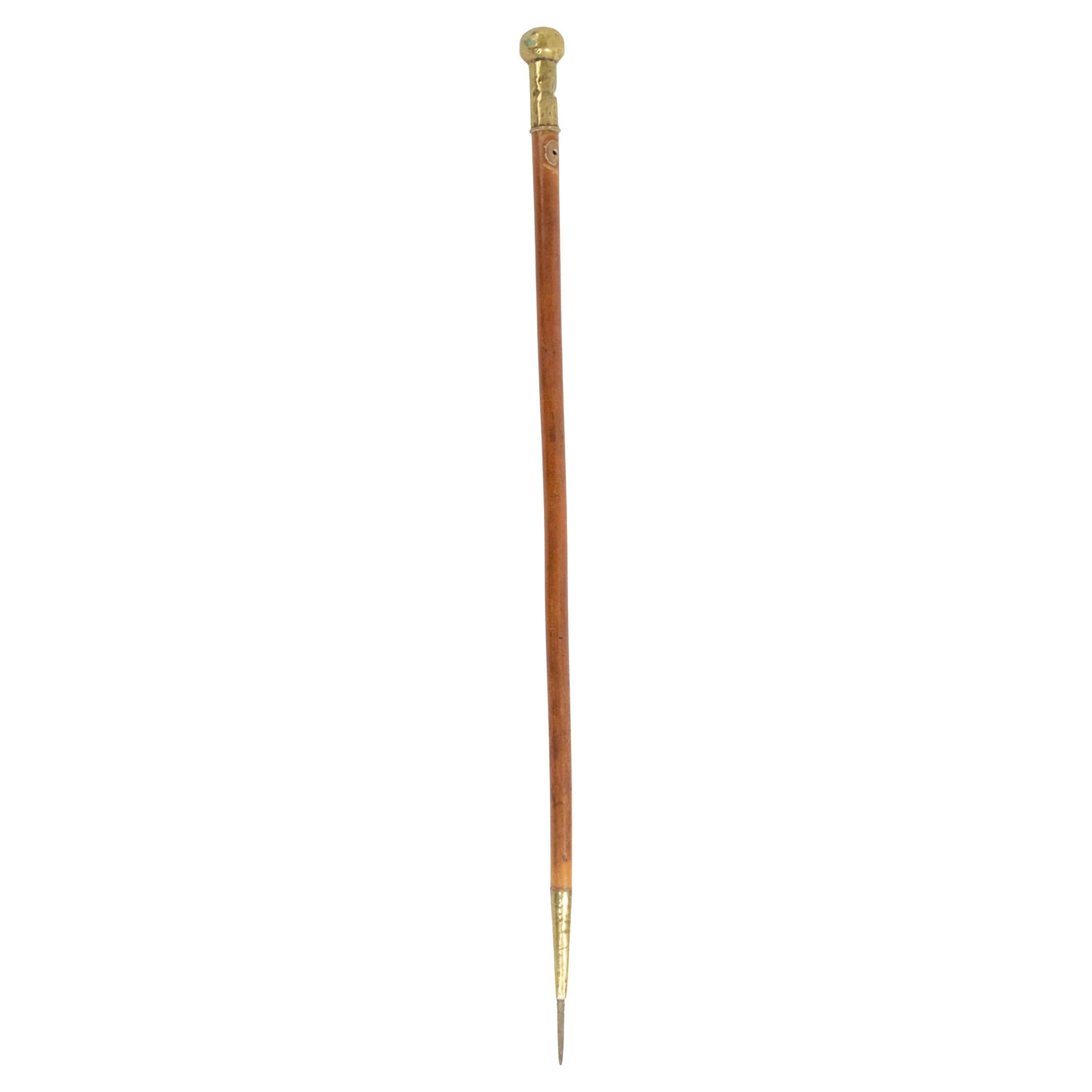 English Victorian Style Wood and Brass Cane