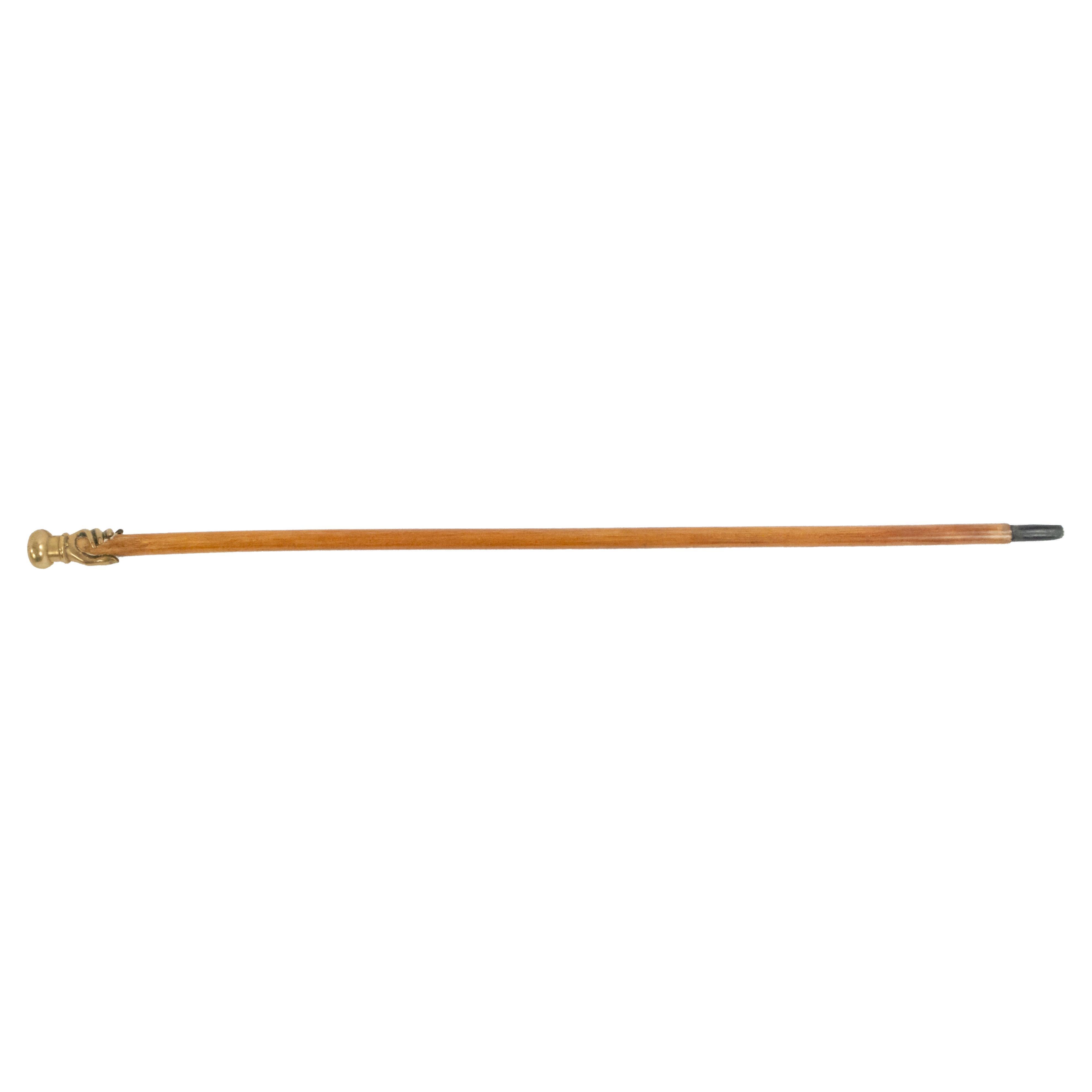 English Victorian Style Wood and Bronze Cane with Hand