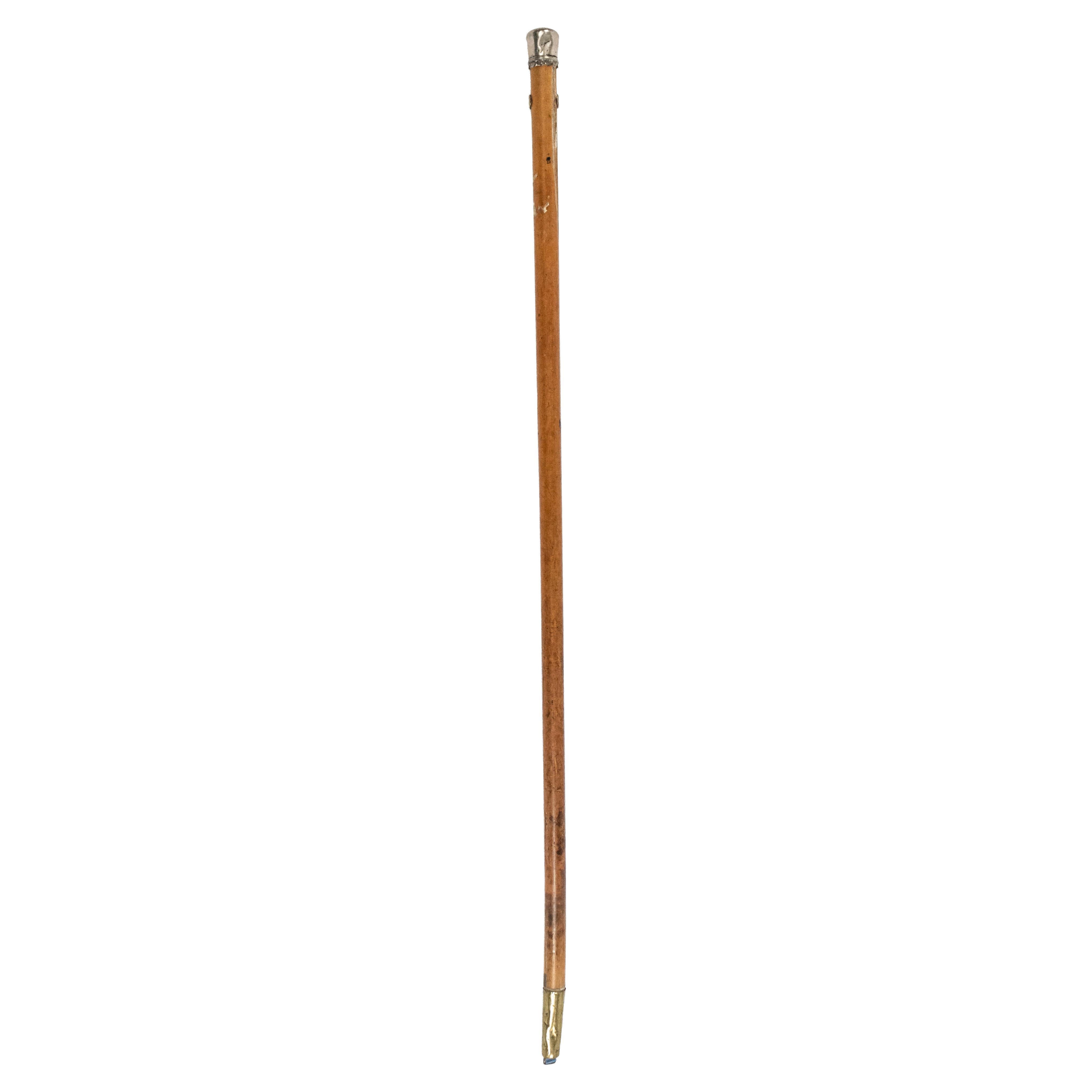 English Victorian Style Wood and Silver Cane For Sale