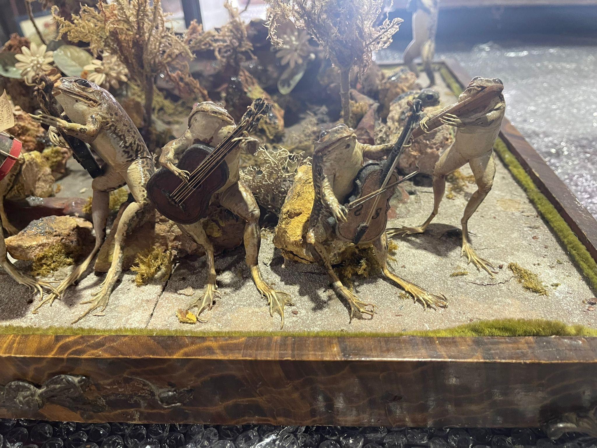 English Victorian Taxidermy Group 19th Century For Sale 6