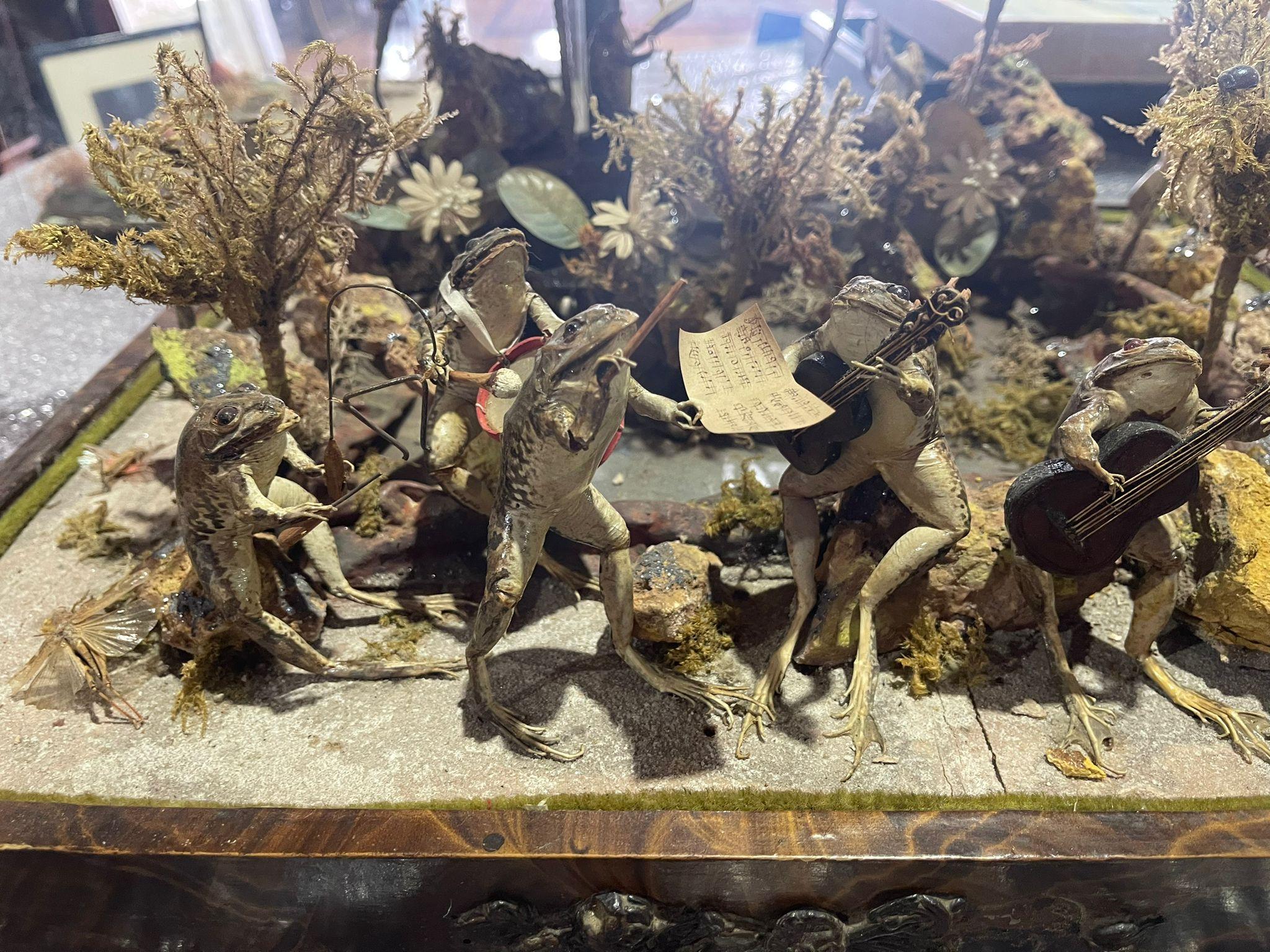 English Victorian Taxidermy Group 19th Century For Sale 10